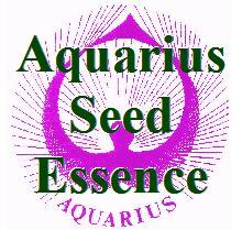 seed_essence_logo_309216408