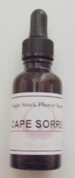 cape sorrel flower essence bottle