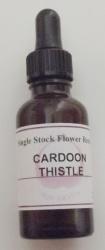 cardoon thisle flower essence bottle